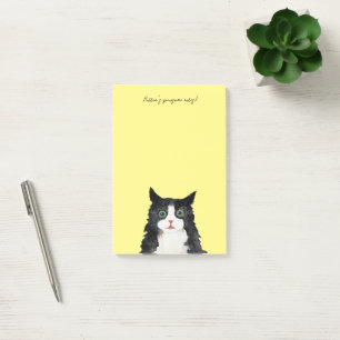Scruffy tuxedo cat post-it notes