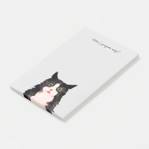 Scruffy tuxedo cat post-it notes