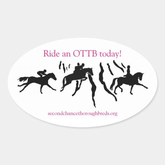 SCT Logo Sticker (Front)