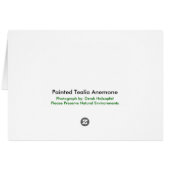 Scuba Diver Anemone Card (Back Horizontal)