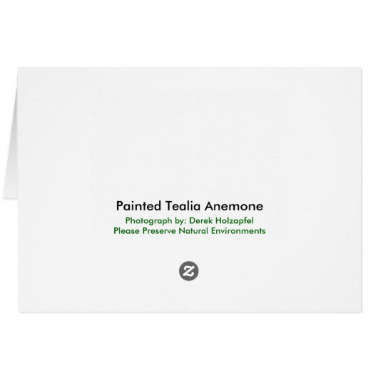 Scuba Diver Anemone Card (Back Horizontal)