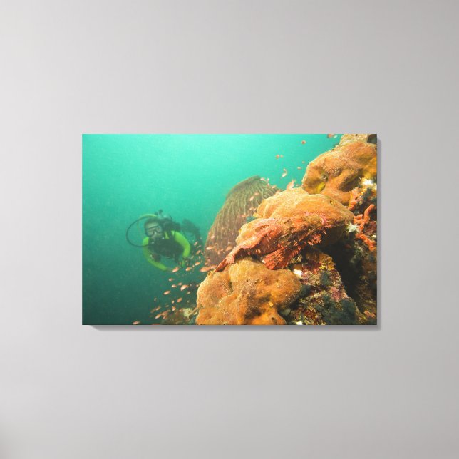 scuba diver & Scorpionfish Scorpanopsis Canvas Print (Front)