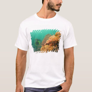 scuba diver & Scorpionfish Scorpanopsis T-Shirt