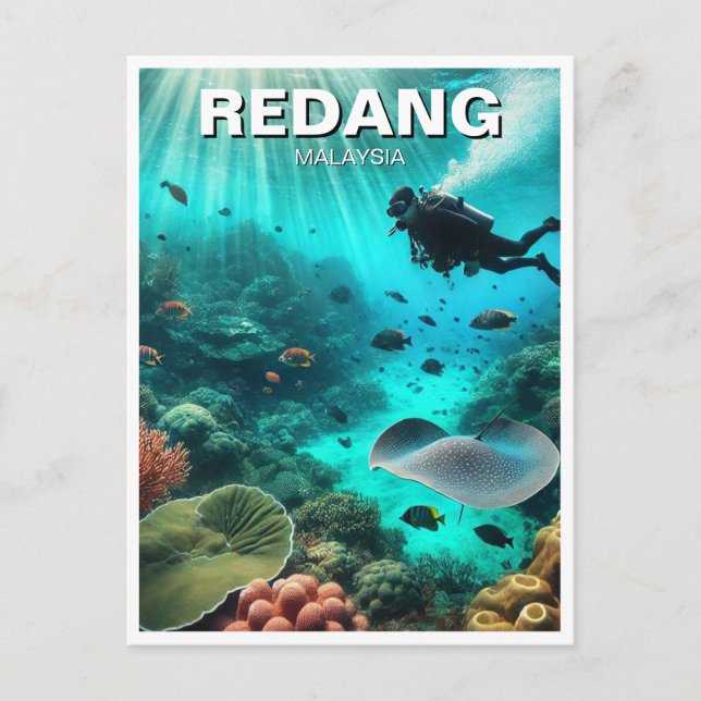 Scuba Diving in Redang Malaysia Postcard (Front)