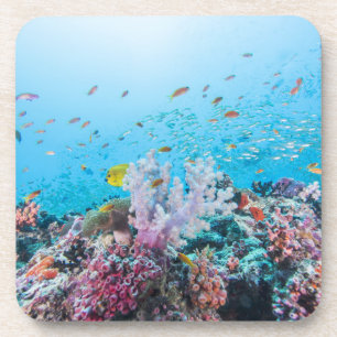 Scuba Diving With Colorful Reef And Coral Drink Coaster