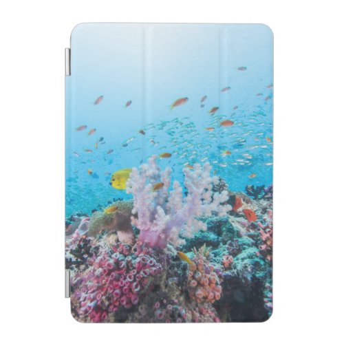 Scuba Diving With Colorful Reef And Coral iPad Mini Cover