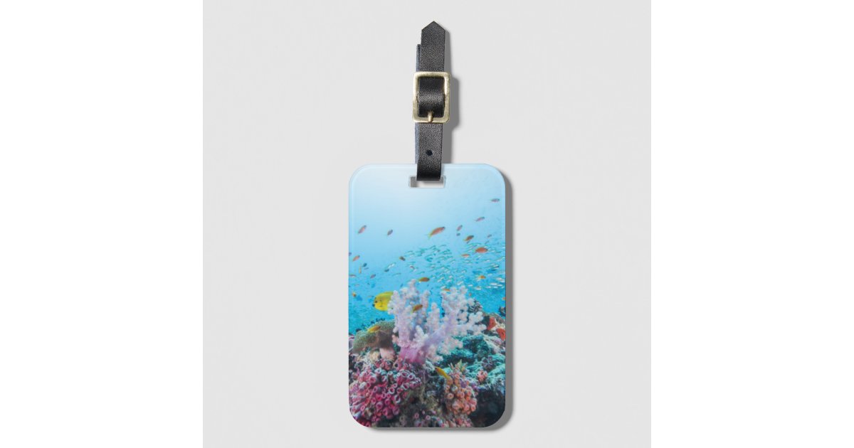 Scuba Diving With Colorful Reef And Coral Luggage Tag Zazzle