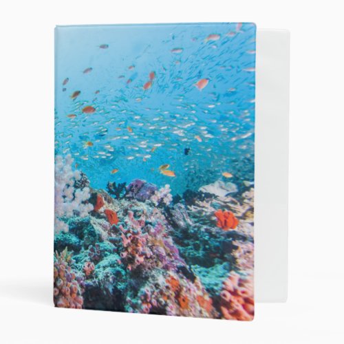 Scuba Diving With Colorful Reef And Coral Mini Binder
