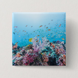 Scuba Diving With Colorful Reef And Coral Pinback Button