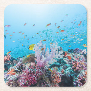 Scuba Diving With Colorful Reef And Coral Square Paper Coaster