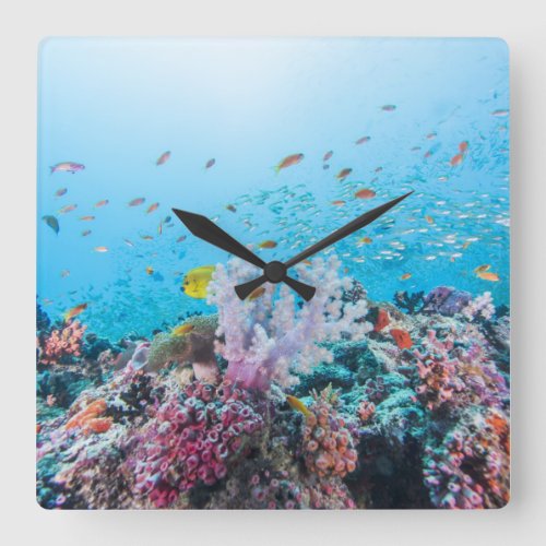 Scuba Diving With Colorful Reef And Coral Square Wall Clock