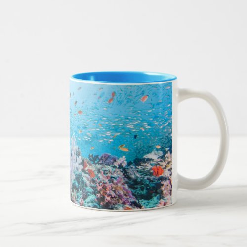 Scuba Diving With Colorful Reef And Coral Two_Tone Coffee Mug