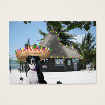 Scuba Dog "diversity" Trade Card by Firecrackinmama at Zazzle