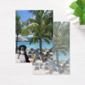 Scuba Dog "Imaginative" Trading Card (Desk)