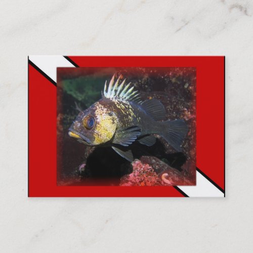 Scuba Rockfish - Business Card