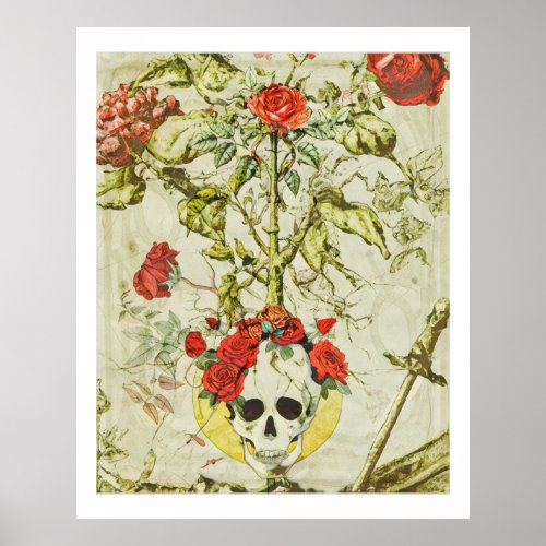 Scull and Rose Bush Vintage Poster