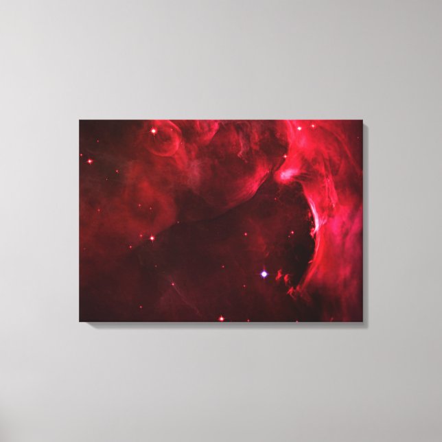 Sculpted Region of the Orion Nebula Canvas Print (Front)