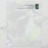 Sculptural Leaves letterhead (Front)