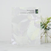 Sculptural Leaves letterhead (Standing Front)