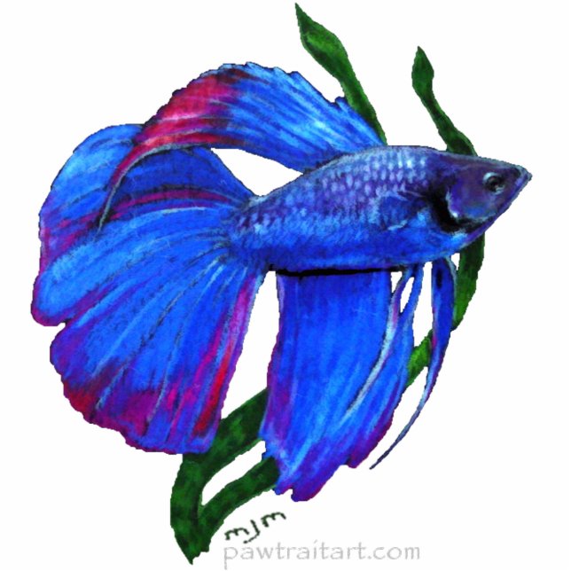 Sculpture - Betta Fish (Front)