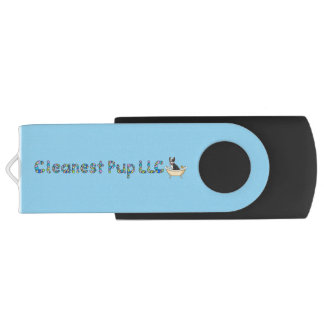 SD Card Flash Drive