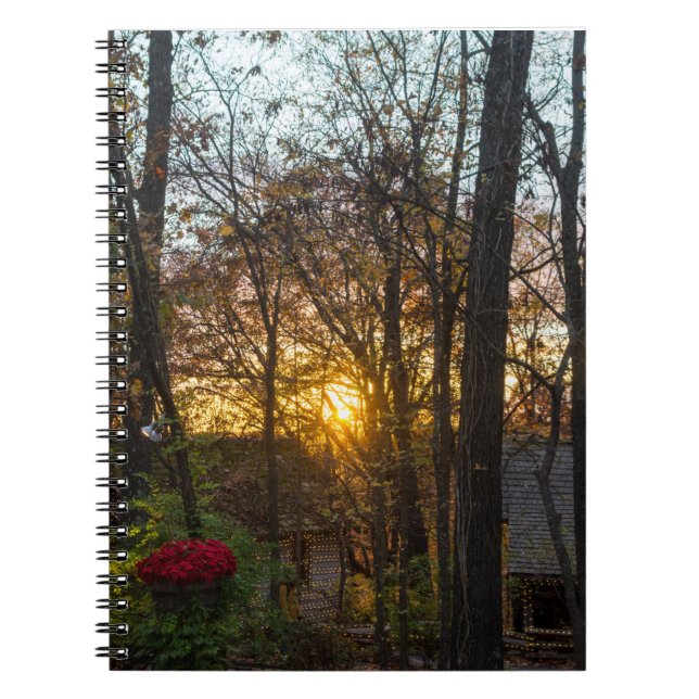 Sdc Woods Sunset Notebook (Front)