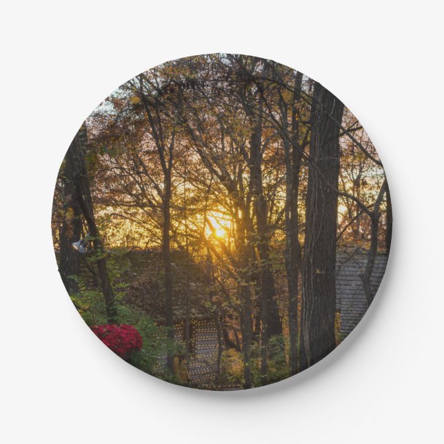 Sdc Woods Sunset Paper Plates (Front)