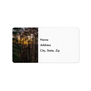 SDC Woody Sunset Label