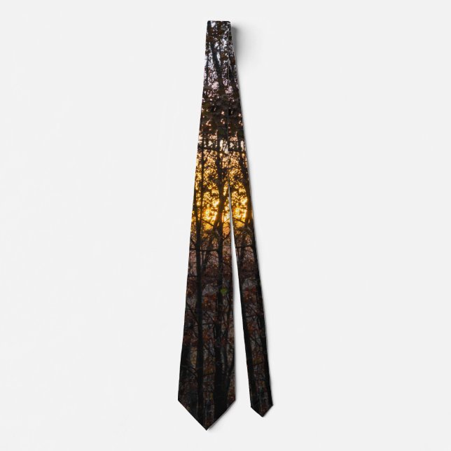 SDC Woody Sunset Neck Tie (Front)