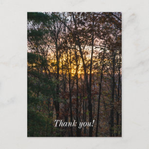 SDC Woody Sunset Postcard