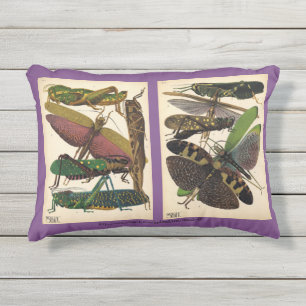 "SE Seguy-Insect Fashion" Outdoor Pillow