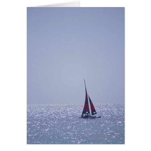 Sea 23 cards (Front)