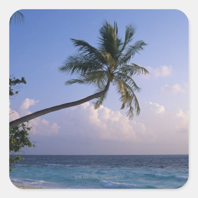Sea and Palm Tree Square Sticker (Front)