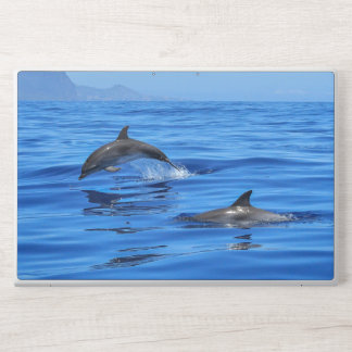 sea and wonderful ocean view HP laptop skin