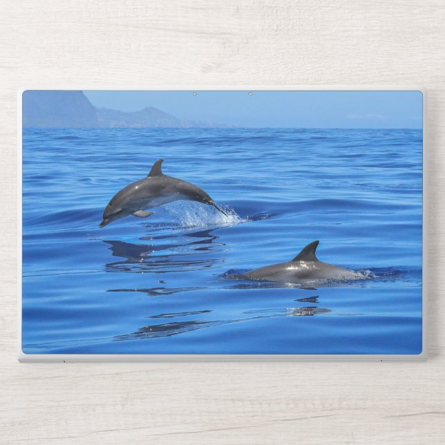 sea and wonderful ocean view HP laptop skin (Front)