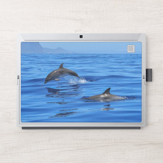 sea and wonderful ocean view HP laptop skin (Front)