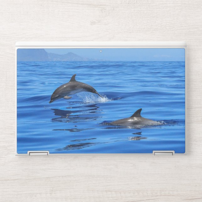 sea and wonderful ocean view HP laptop skin (Front)