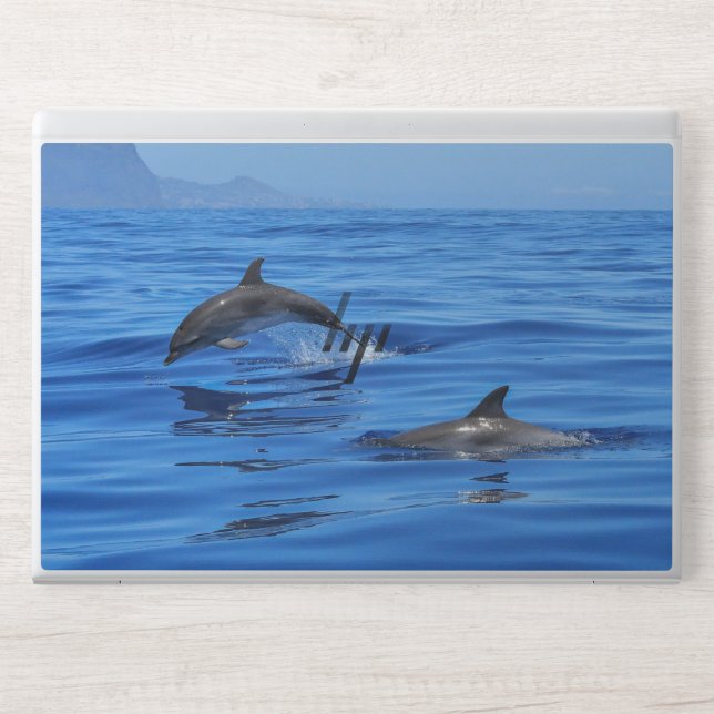 sea and wonderful ocean view HP laptop skin (Front)