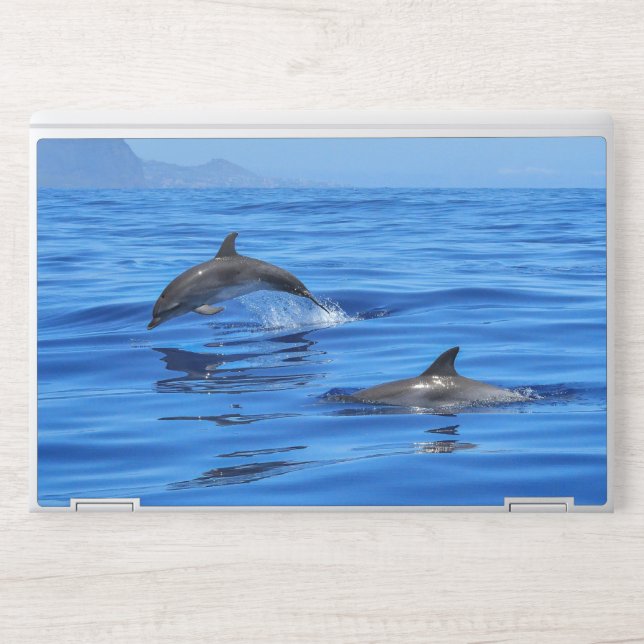 sea and wonderful ocean view HP laptop skin (Front)