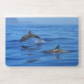 sea and wonderful ocean view HP laptop skin