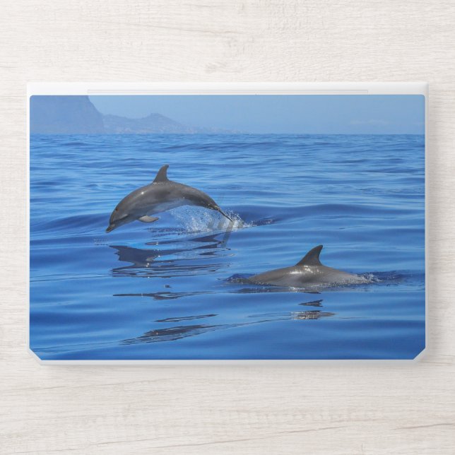 sea and wonderful ocean view HP laptop skin (Front)