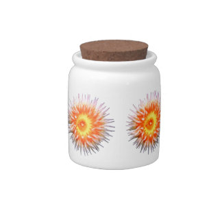 Sea Anemone Candy Jar