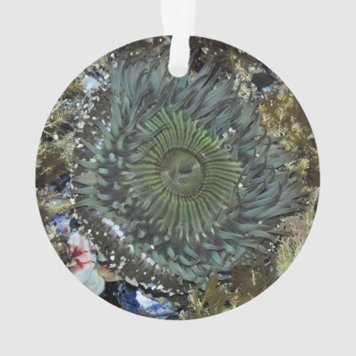 Sea Anemone Christmas Ornament