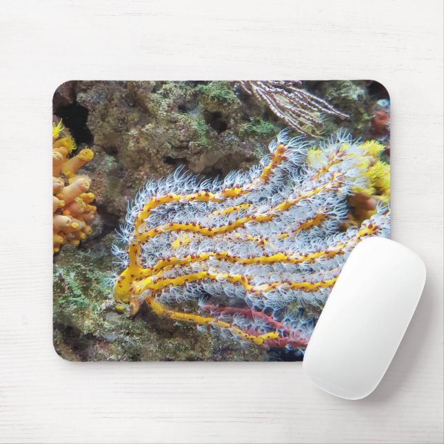Sea Anemone On A Rock Mouse Pad (With Mouse)