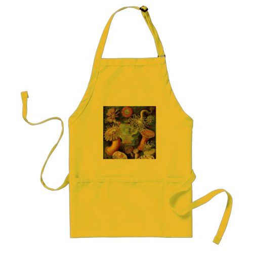 Sea Anemone Scientific Nature Ocean Adult Apron