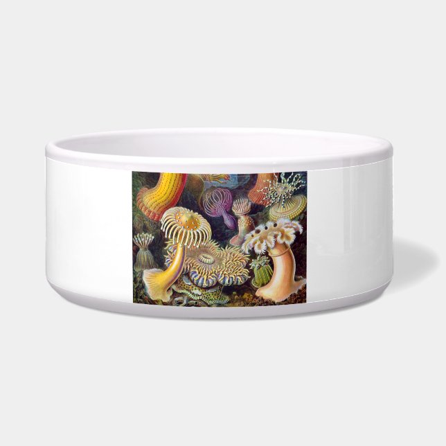 Sea Anemone Scientific Nature Ocean Bowl (Front)