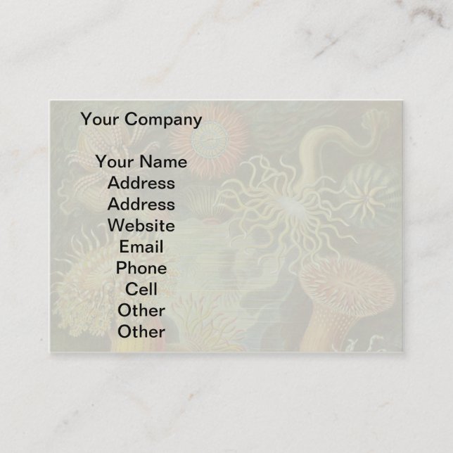 Sea Anemone Scientific Nature Ocean Business Card (Front)