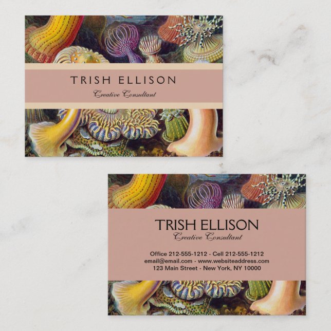 Sea Anemone Scientific Nature Ocean Business Card (Front/Back)
