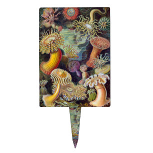 Sea Anemone Scientific Nature Ocean Cake Topper