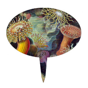 Sea Anemone Scientific Nature Ocean Cake Topper